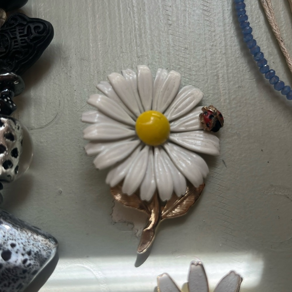 Daisy And Ladybug Brooch